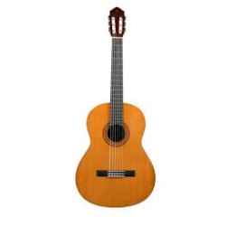 Yamaha C40