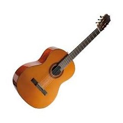 Yamaha C40
