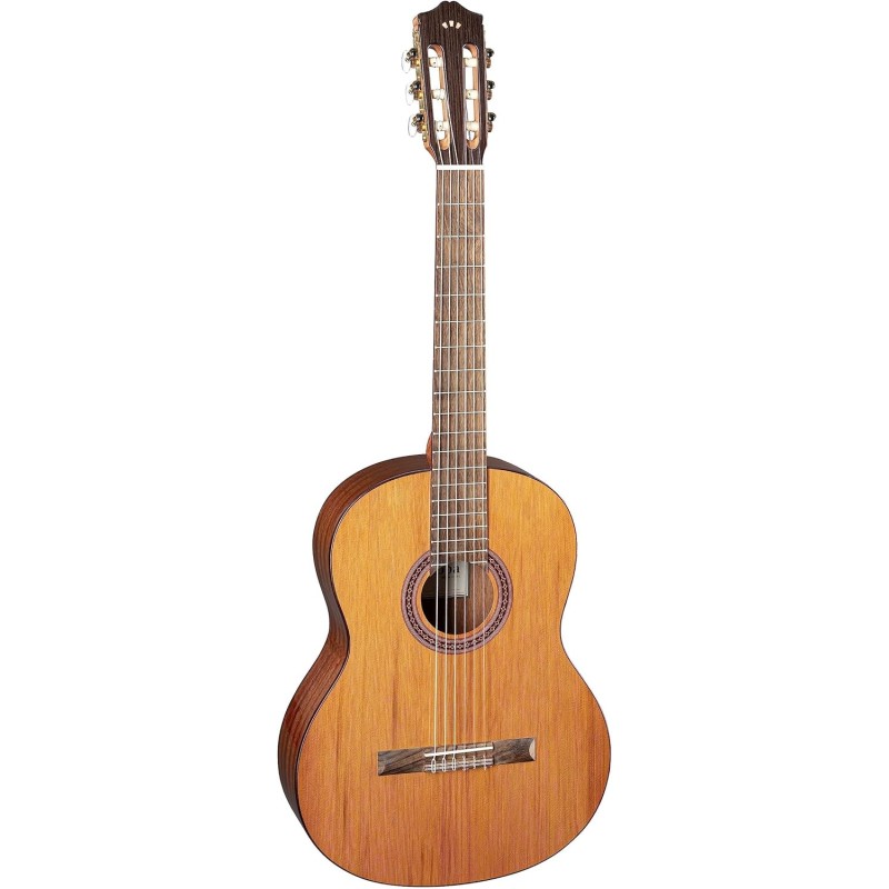 Cordoba C5