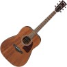 Ibanez AW54