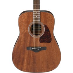 Ibanez AW54