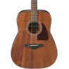 Ibanez AW54