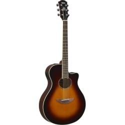 Yamaha APX600