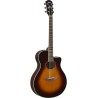 Yamaha APX600