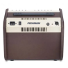Fishman Loudbox Mini